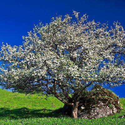 AG官方平台下载地址下载手机版